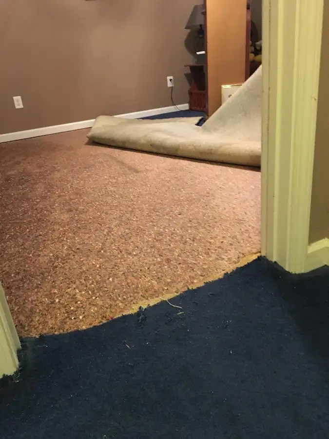 Carpet pad removal revealing water damage during Water Mitigation Services in Wesley Chapel
