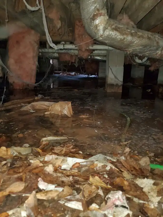 Crawl space flood assessment for Commercial Water Damage Restoration in Wesley Chapel