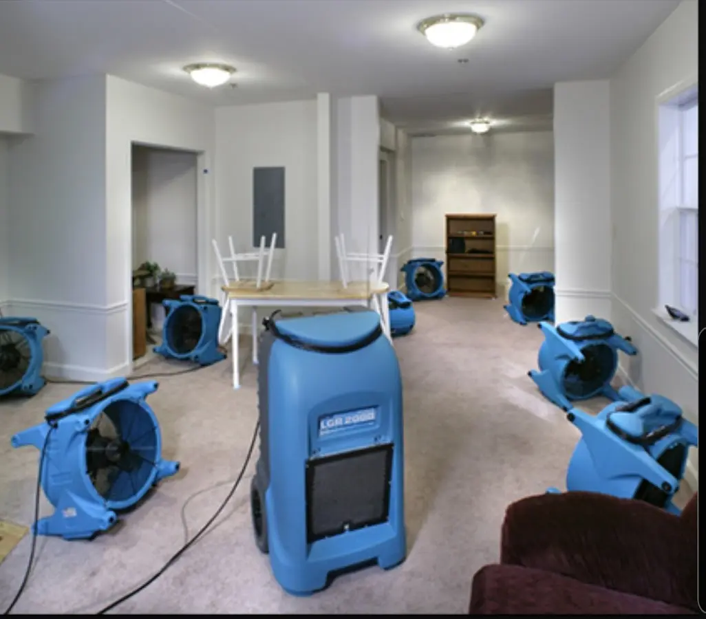 Air movers and dehumidifier setup for Water Extraction & Removal in Wesley Chapel
