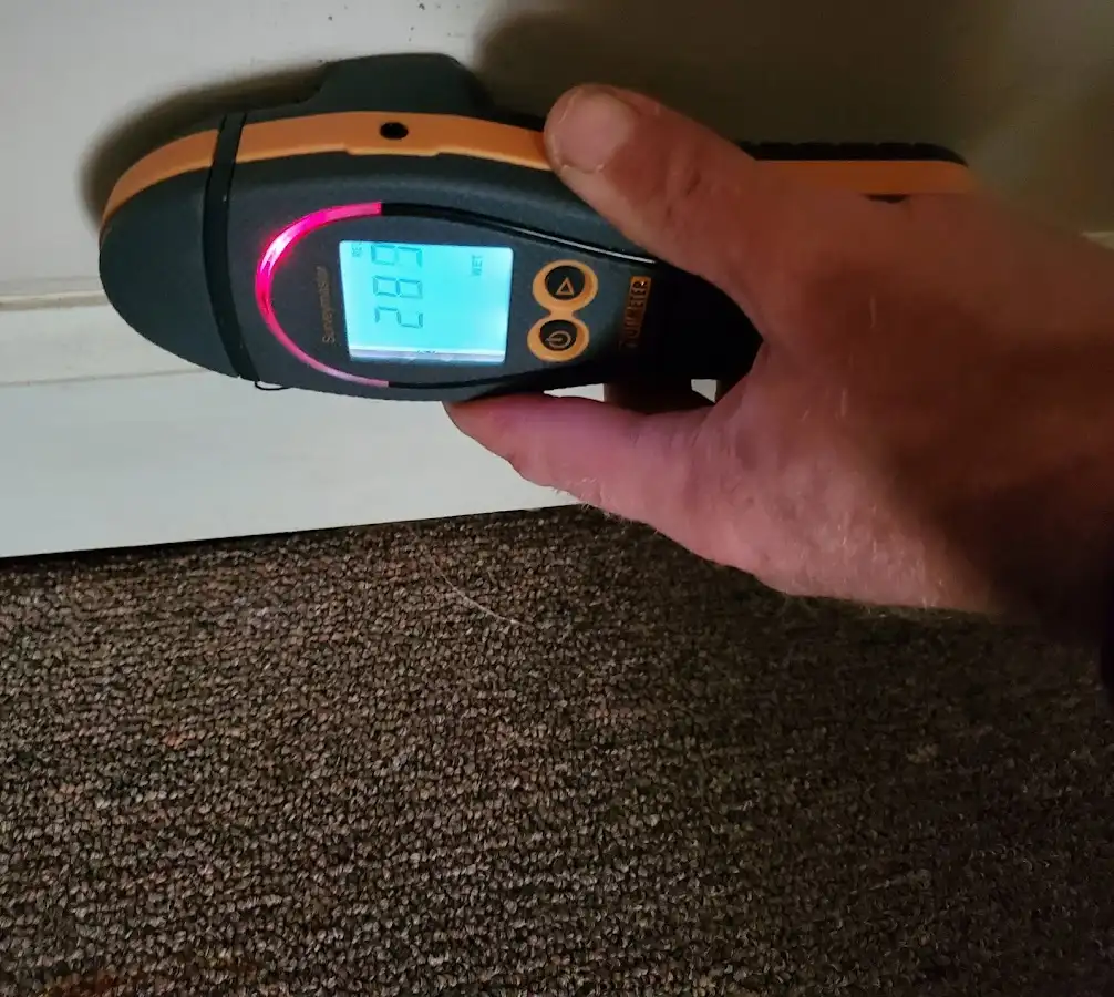 Moisture detection at baseboard during Mold Inspection & Testing in Wesley Chapel