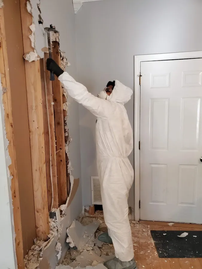 Mold Remediation & Removal in Wesley Chapel, NC
